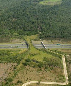 the-borkeld-netherlands-animal-bridge-wildlife-crossing-overpass
